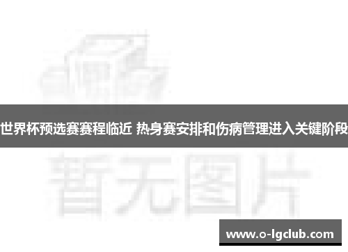 世界杯预选赛赛程临近 热身赛安排和伤病管理进入关键阶段