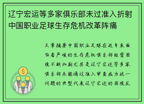 辽宁宏运等多家俱乐部未过准入折射中国职业足球生存危机改革阵痛 辽宁宏运等多家俱乐部未过准入折射中国职业足球生存危机改革阵痛